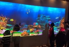 互动投影是什么